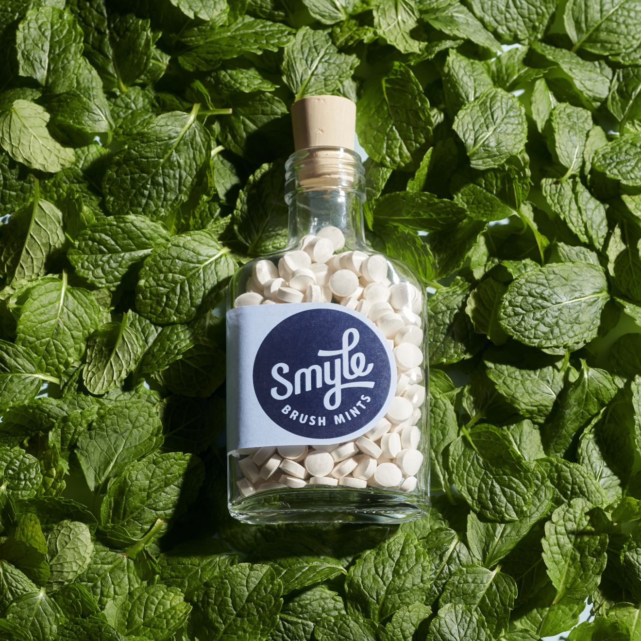 CLUB VOORDEEL | M line meets Smyle