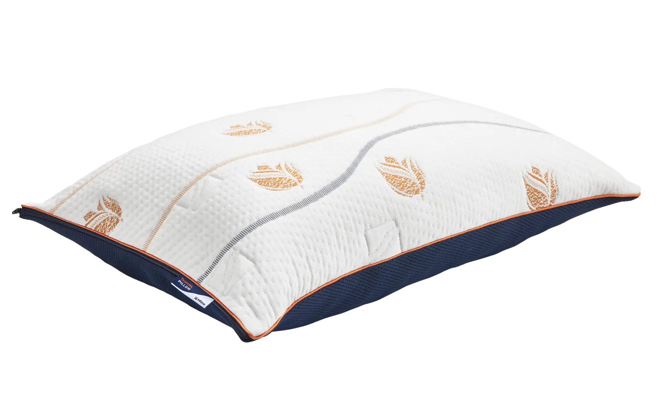 TeamNL Pillow