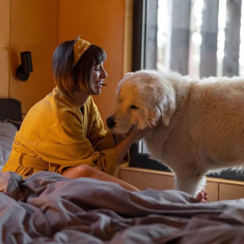 Wel of geen huisdieren in de slaapkamer?