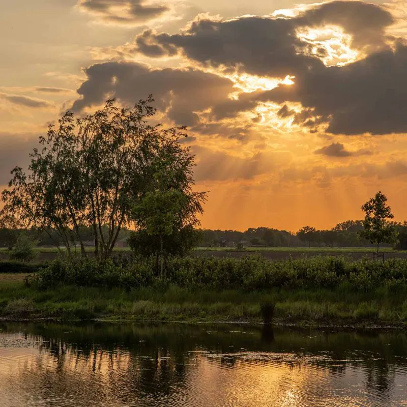 Het is extra lang licht buiten. Maar hoe ga jij hiermee om?