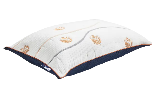 TeamNL Pillow