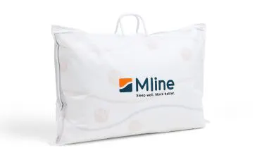 TeamNL Pillow